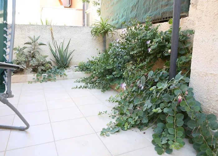 Casa Bonsai
